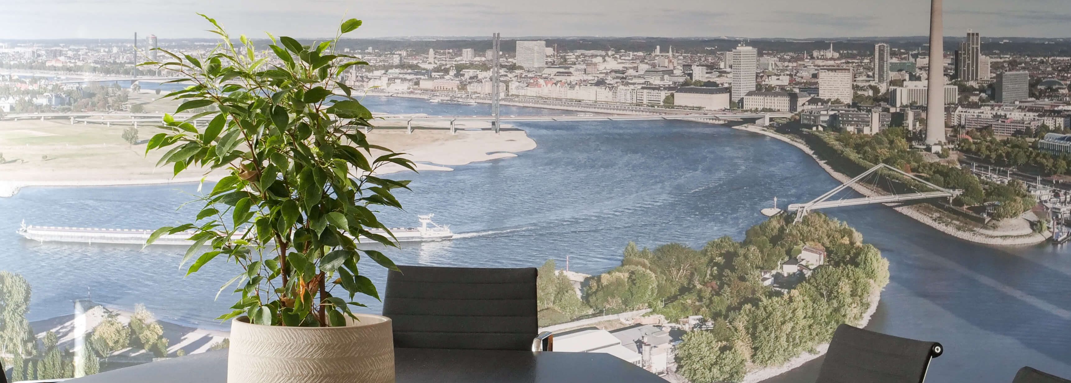 Besprechungstisch mit einer Pflanze darauf, vor einer Fotoleinwand, die den Rhein in Düsseldorf zeigt