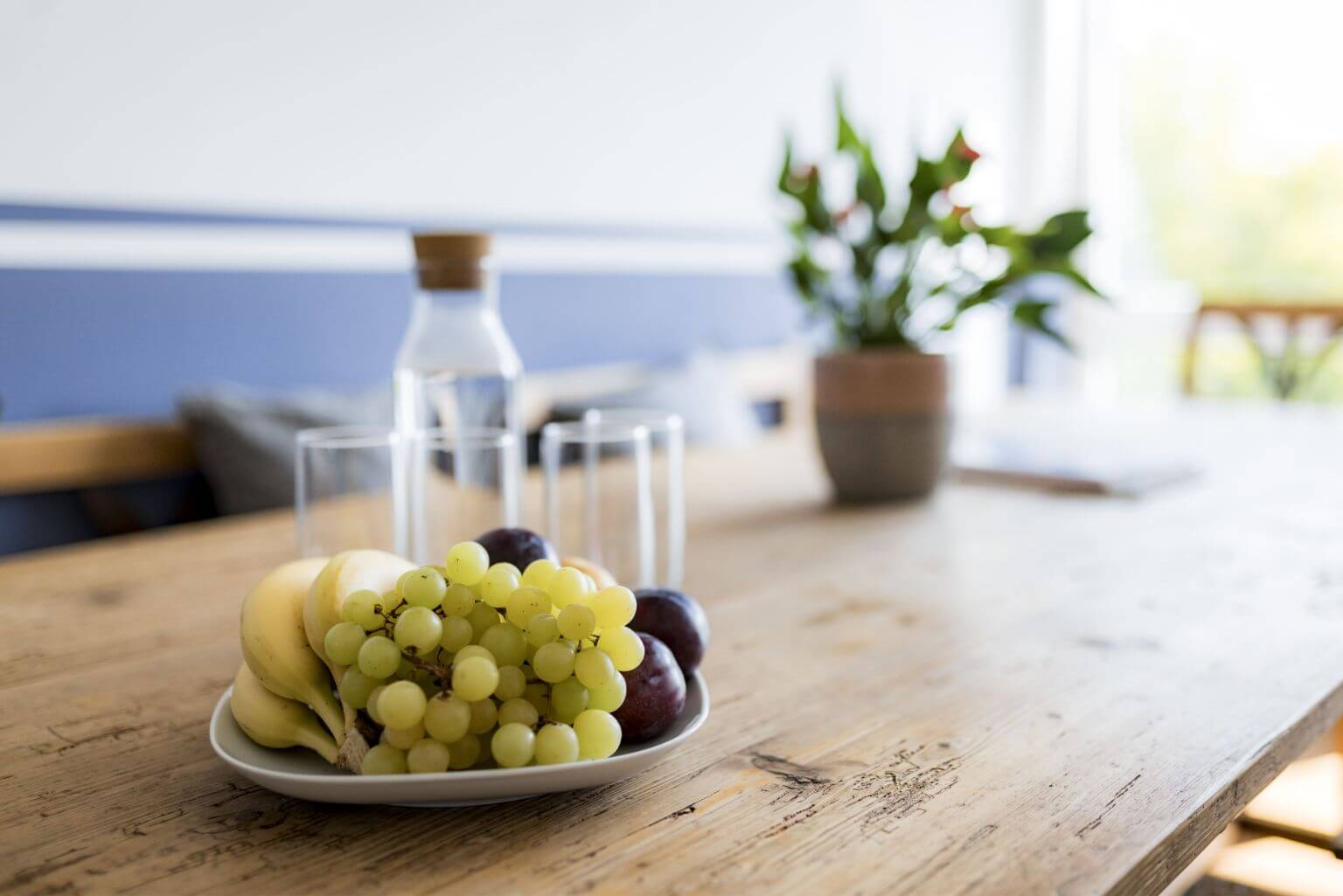 Obst, Wasser und eine Pflanze auf einem Holztisch